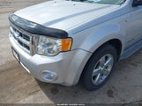 Ford Escape Xlt 1FMCU03198KB91435 снимка