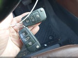 Miniaturka zdjęcia 11