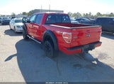 Ford F-150 Fx4/Harley-Davidson/King Ranch/Lariat/Platinum/Xl/Xlt 1FTFW1EV6AFD95299 photo
