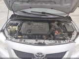 Toyota Corolla Le 2T1BU4EE8AC303026 снимка
