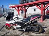 Yamaha Yzfr3 A MH3RH18Y8NK009154 fotografie