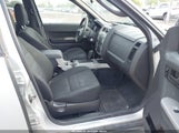 Ford Escape Xlt 1FMCU93749KA14558 снимка