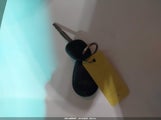 Miniaturka zdjęcia 11