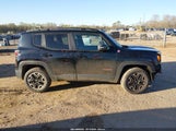 Jeep Renegade Trailhawk ZACCJBCT6GPE19731 снимка