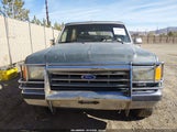 Ford Bronco U100 1FMEU15N4HLA15319 снимка