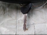 Dodge Ram  St 3B7KF23W9VM562339 снимка