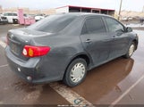 Toyota Corolla Le/S/Xle 1NXBU4EE0AZ251745 photo