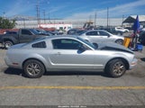Ford Mustang V6 Deluxe/V6 Premium 1ZVFT80N955116638 снимка