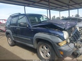 Jeep Liberty Sport 1J4GK48KX6W220770 fotografie
