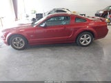 Ford Mustang Gt Deluxe/Gt Premium 1ZVHT82H075232278 fotografie