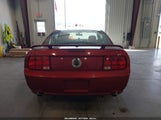 Ford Mustang Gt Deluxe/Gt Premium 1ZVHT82H075232278 fotografie
