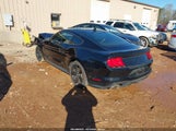 Miniaturka zdjęcia 3