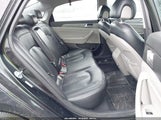 Miniaturka zdjęcia 8