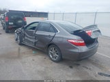 Miniaturka zdjęcia 3