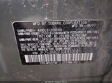 Miniaturka zdjęcia 9