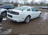 Ford Mustang V6 1ZVBP8AM9E5258769 снимка