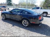 Ford Mustang Gt Deluxe/Gt Premium 1ZVHT82H985161146 снимка