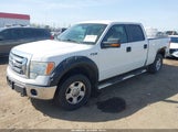 Ford F-150 Fx4/Harley-Davidson/King Ranch/Lariat/Platinum/Xl/Xlt 1FTFW1EV0AFB58758 photo