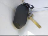 Miniaturka zdjęcia 11
