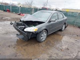 Toyota Corolla Le 2T1BR32E57C806280 fotografie