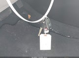 Miniaturka zdjęcia 11