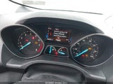 Miniaturka zdjęcia 7