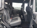 Miniaturka zdjęcia 8