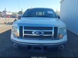 Ford F-150 Fx2 Sport/Harley-Davidson/King Ranch/Lariat/Platinum/Xl/Xlt 1FTFW1CV7AKE77200 снимка