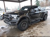Ford F-150 Raptor 1FTEX1RG1LFC65728 снимка