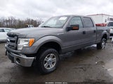 Ford F-150 Xlt 1FTFW1EF4EFB34381 снимка
