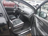 Miniaturka zdjęcia 5