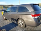 Honda Odyssey Ex-L 5FNRL5H67FB065491 снимка