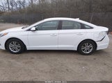 Hyundai Sonata Se 5NPE24AF5FH141958 снимка