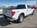 Ford F-150 Fx4/King Ranch/Lariat/Platinum/Xl/Xlt 1FTPW14V49FB23559 fotografie