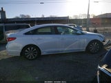Hyundai Sonata Sport 5NPE34AF3FH206464 photo