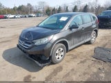 Honda Cr-V Lx 5J6RM4H35DL073901 fotografie