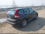 Honda Cr-V Lx 5J6RM4H35DL073901 fotografie