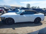 Ford Mustang Ecoboost Premium 1FAGP8UH5S5124446 снимка