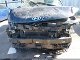 Miniaturka zdjęcia 6