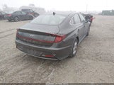 Hyundai Sonata Se KMHL24JA1PA250031 снимка