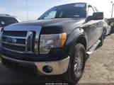 Ford F-150 Fx4/Lariat/Xl/Xlt 1FTFX1EV8AFD78730 fotografie