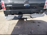 Ford F-150 Fx4/Lariat/Xl/Xlt 1FTFX1EV8AFD78730 fotografie