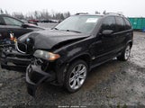 BMW X5 4.8Is 5UXFA93525LE82058 снимка