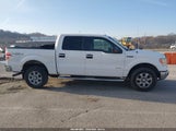 Ford F-150 Xlt 1FTFW1ET3DKE39432 снимка