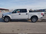 Ford F-150 Xlt 1FTFW1ET3DKE39432 снимка