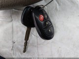 Miniaturka zdjęcia 11