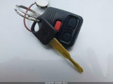 Miniaturka zdjęcia 11