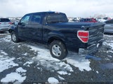 Ford F-150 Xl/Xlt 1FTEW1CM9CFA48381 снимка