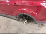 Miniaturka zdjęcia 6