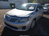 Toyota Corolla Le 2T1BU4EE2DC089042 fotografie